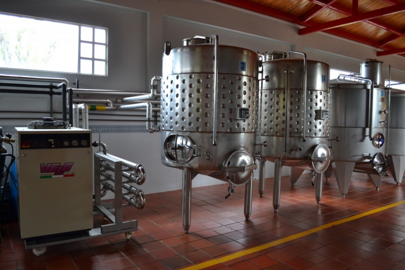 cave-RAMATUELLE-min_wine_production_cantine_winery_drink_alcohol_vine_beverage-902036